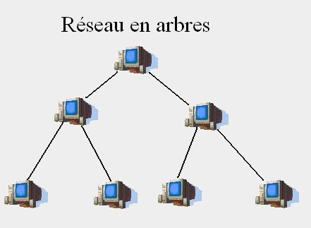 Image rseau arbre