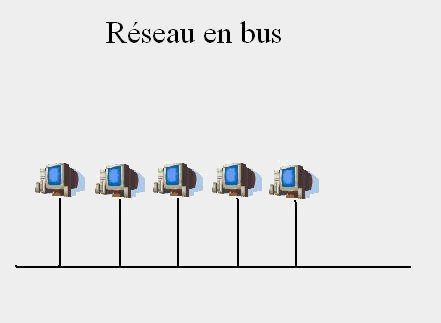 Image rseau bus